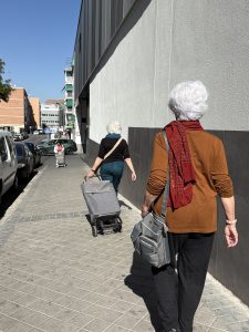 Go cart for groceries