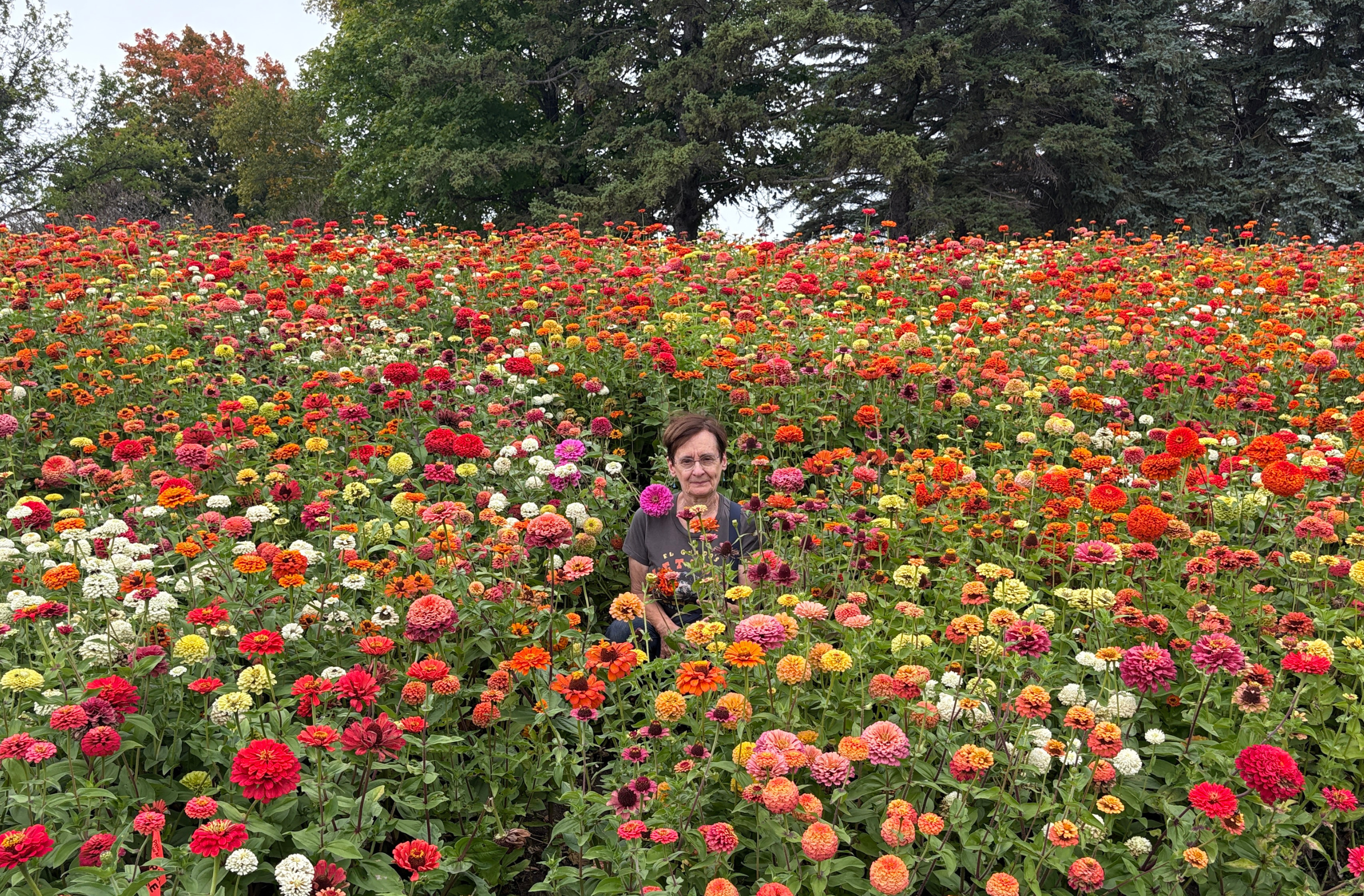 Janet Kurtz in a field of flowers
